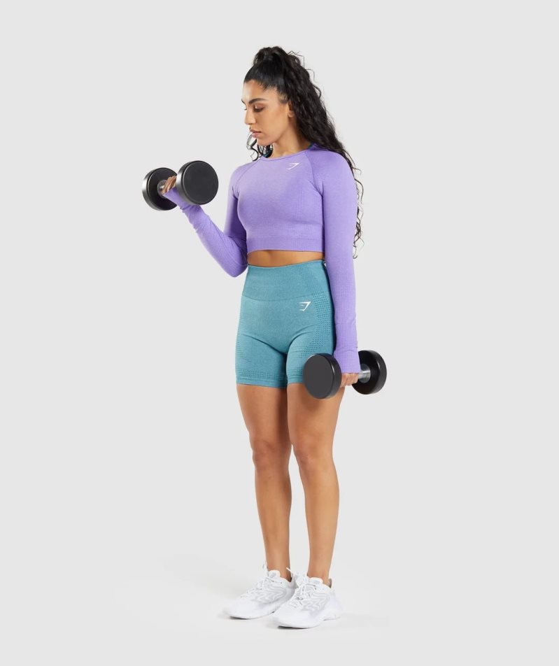 Women's Gymshark Vital Seamless 2.0 Long Sleeve Cropped Tops Lavender | CA 7A5016